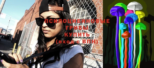 ешки Верхний Тагил