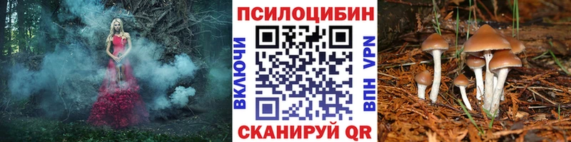 Псилоцибиновые грибы мухоморы где найти наркотики Липецк